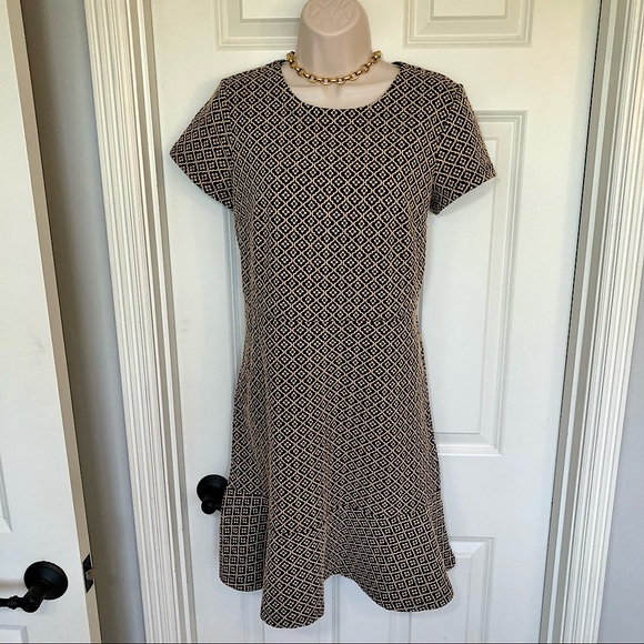Ann Taylor Loft navy/tan fit and flair drop waist short sleeve dress size 6 - Picture 3 of 14